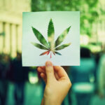 hand holding a piece of paper with marijuana leaf shape cut out